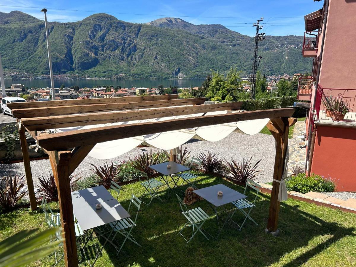 Il Mallo Verde - Lake Como B&B Mandello del Lario Eksteriør billede
